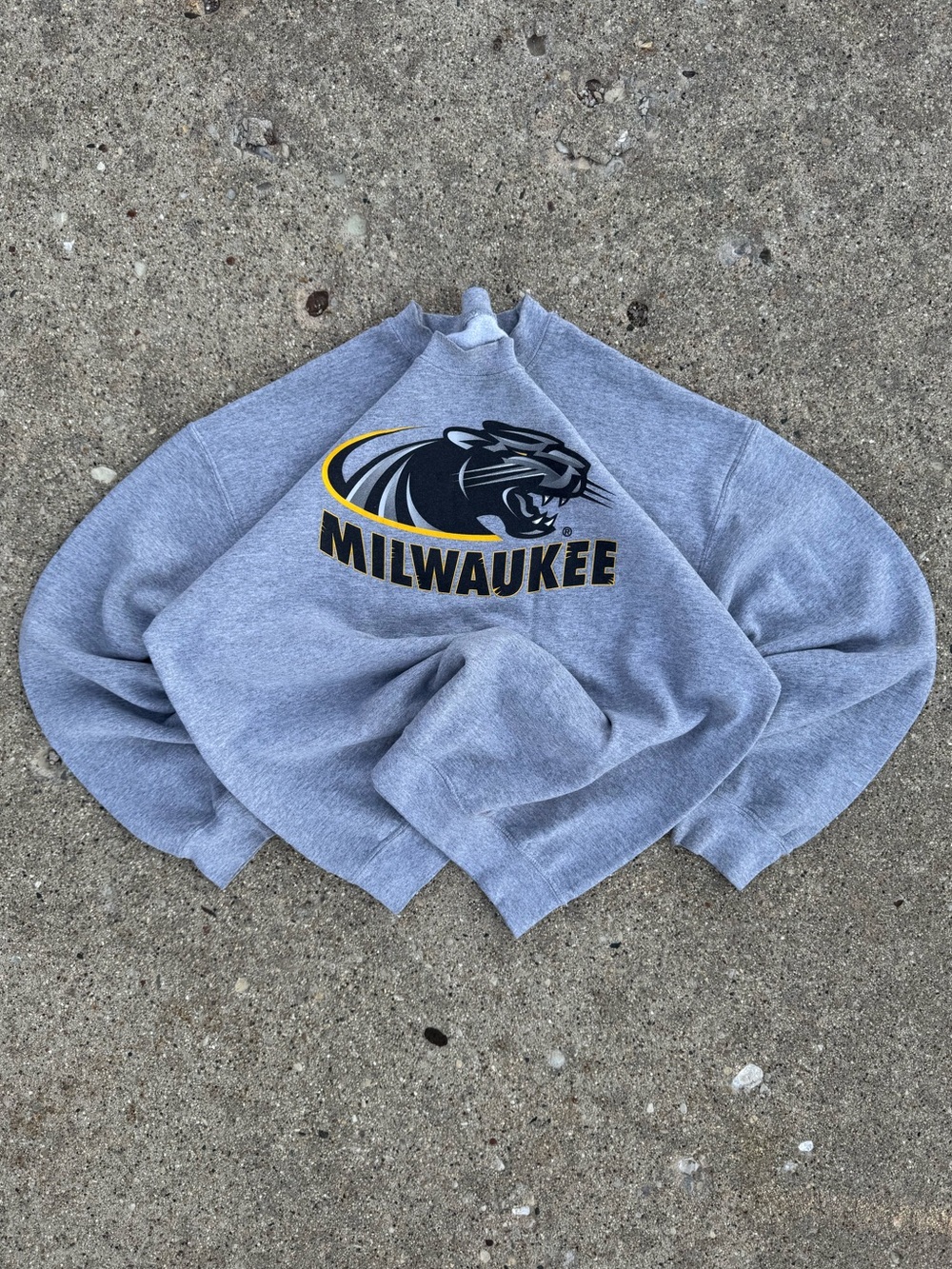 Vintage University of Wisconsin Milwaukee Crewneck Sweater